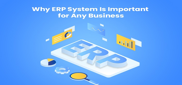 How Can ERP Software Reshape Your Business Landscape?