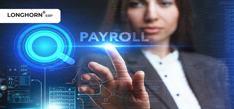 Streamlining Payroll Processes with Innovative Payroll Software Solutions