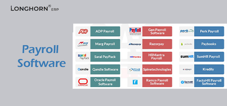 Maximizing Efficiency and Accuracy with Payroll Software: A Modern Solution for Businesses